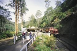 Latrobe Valley: History, Heritage and Spectacular Wilderness