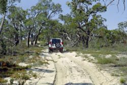 Little Desert: For Walks and Wildflowers