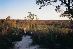 Little Desert: For Walks and Wildflowers