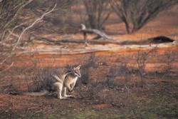 Mildura: Heart of the Mighty Murray