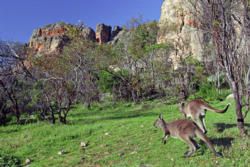 Mt Arapiles: A Rock Climbing Mecca
