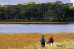 Mt Buffalo National Park: Alpine Peaks and Outdoor Adventure