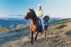 Mt Buller: Wildflowers, Wine and Winter Delights