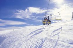 Mt Hotham: High Country Charms Year Round