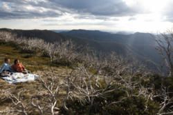 Mt Hotham: High Country Charms Year Round