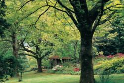 Mt Macedon – stunning views across the bay