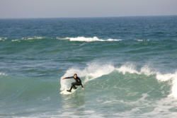 Surf's Up in Stunning Torquay