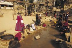 The Rush of Excitement in Goldfields, Victoria