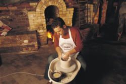 The Rush of Excitement in Goldfields, Victoria