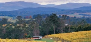 The Yarra Valley and Dandenong Ranges