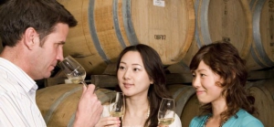 The Yarra Valley and Dandenong Ranges