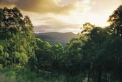 Yarra Valley - Enjoy the wines