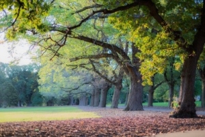 Fawkner Park in Melbourne