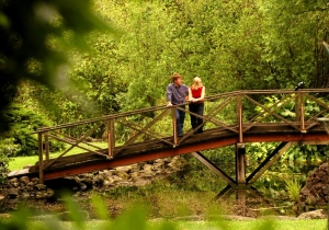 Hamilton Botanical Gardens  : Bruzzone