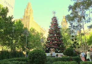 It's Christmas in Melbourne City Square