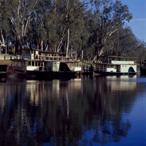 Paddle Steamers at Echuca