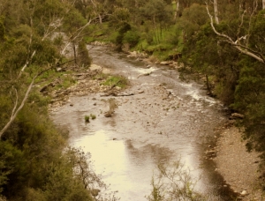 River in the Snowy Mountains 