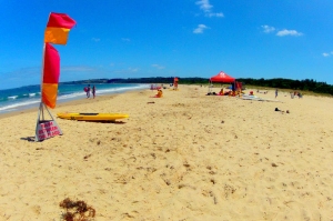 Swim between the flags.