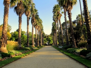 Williamstown Botanic Gardens