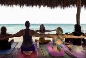 1 day of yoga with bike tour to the Cozumel cenote