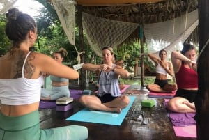 1 day of yoga with bike tour to the Cozumel cenote