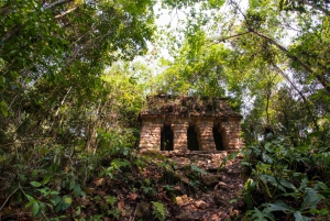 2 Day Lacandon Jungle, the Lost City and Bonampak Ruins