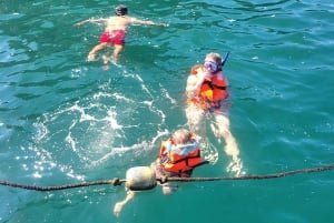 Puerto Vallarta: 3-hour Whale watching and snorkeling