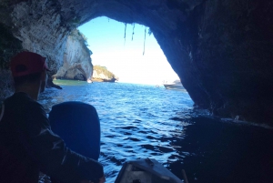 Puerto Vallarta: 3-hour Whale watching and snorkeling