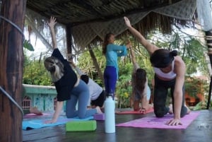 4 Días de Yoga, Esnórquel y Paseos a Caballo en Cozumel