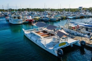 4 horas Experimenta el Santuario de la Tortuga en La Chula Catamarán