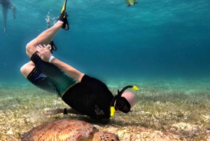 4 horas Experimenta el Santuario de la Tortuga en La Chula Catamarán