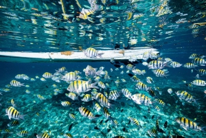 5 in 1 Snorkeling Boat Experience in Cancun