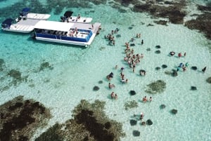 6-Hours Guided Stingray Tour in the East Coast of Antigua