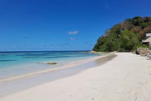 Excursión guiada de 6 horas con rayas en la costa este de Antigua