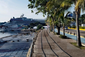 *6 Hr All The Attractions Cruise Terminal Pickup & Drop Off