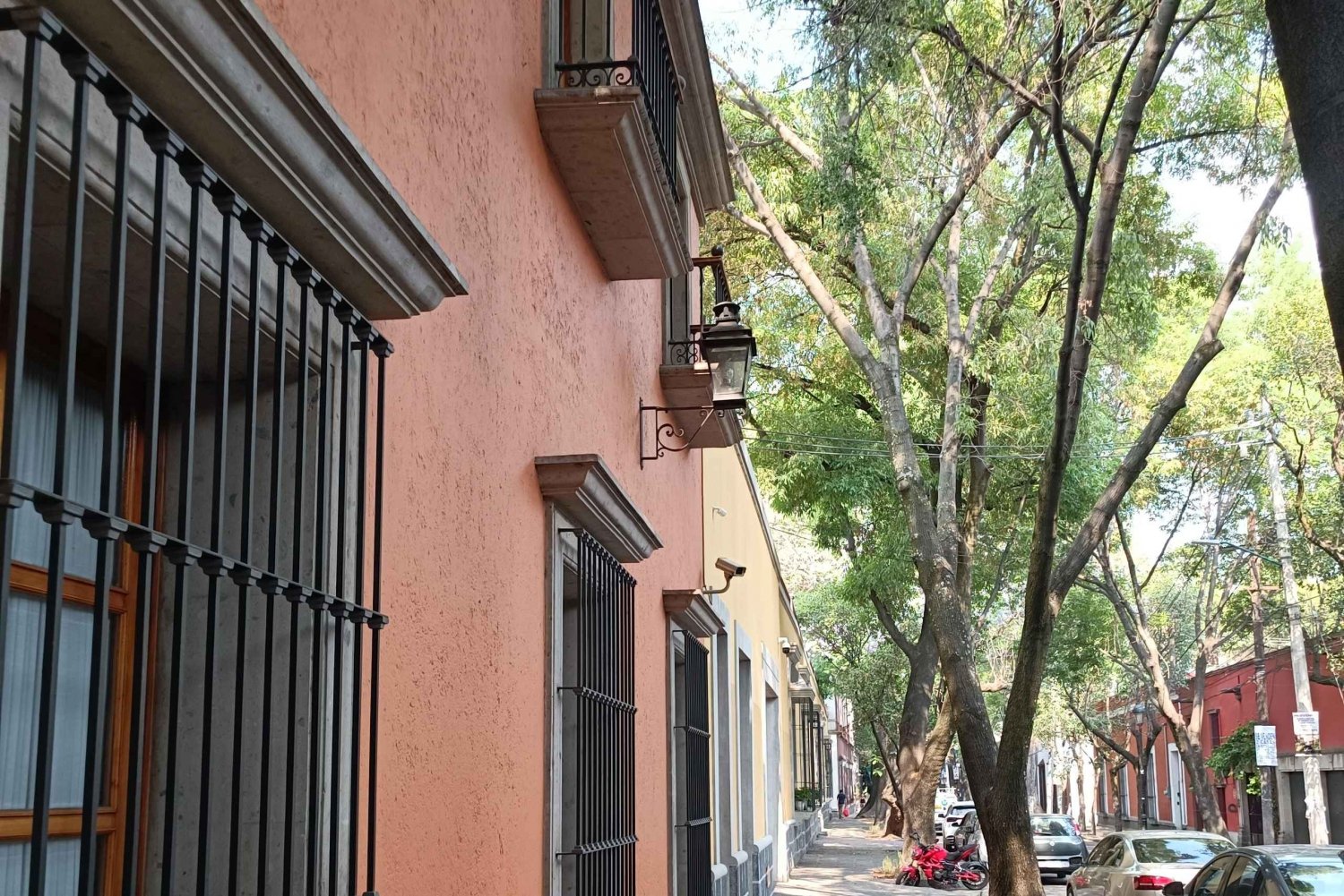 A Biking and Walking Tour of Coyoacán.