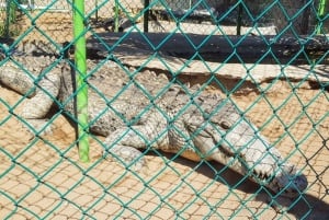 Acapulco:3 Palos Lagoon Boat Ride& Crocodile Farm Exprience