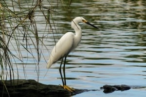 Acapulco:3 Palos Lagoon Boat Ride& Crocodile Farm Exprience