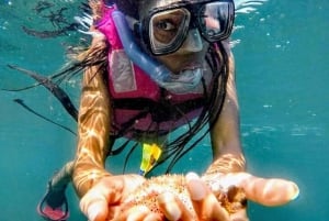 Acapulco: Beach Break Experience with Snorkeling and Lunch