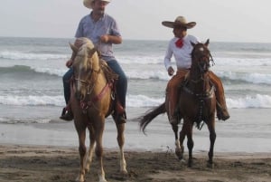 Acapulco: Bonfil Beach Horseback Riding Experience