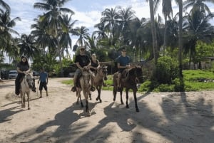 Acapulco: Bonfil Beach Horseback Riding Experience