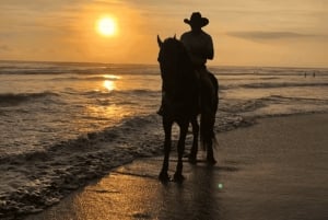 Acapulco: Bonfil Beach Horseback Riding Experience