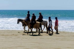 Acapulco: Paseo a Caballo Exp. Granja de Cocodrilos, y tour de la ciudad