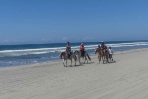 Acapulco: Paseo a Caballo Exp. Granja de Cocodrilos, y tour de la ciudad