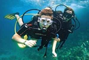 Acapulco: La Roqueta Island Tour & Scuba Diving Experience