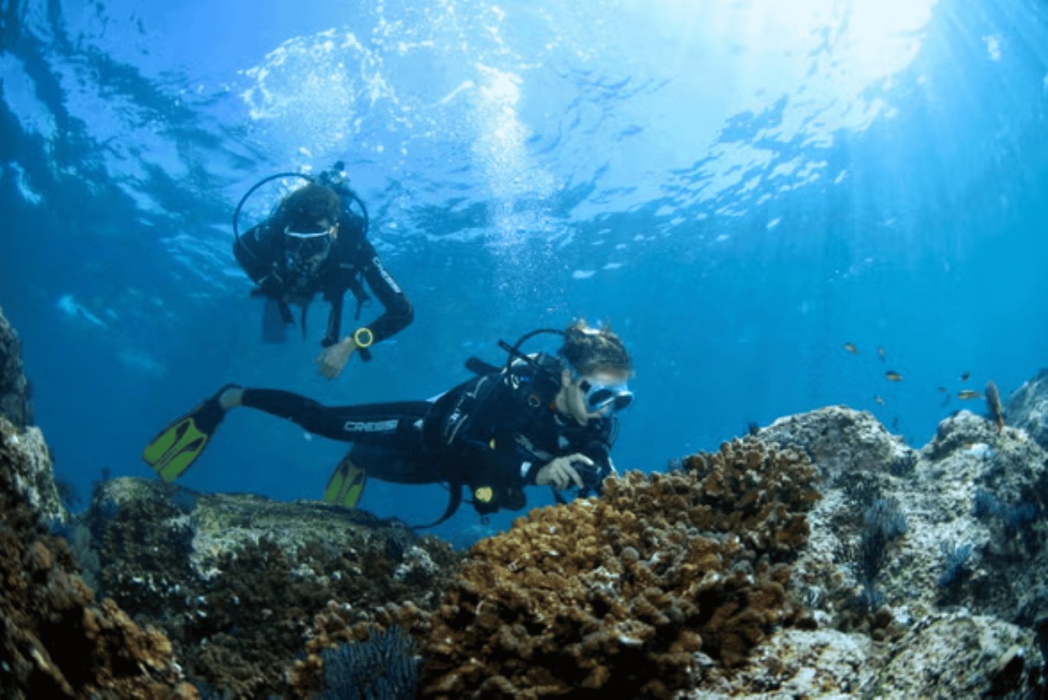 Acapulco: Buceo en Isla Roqueta