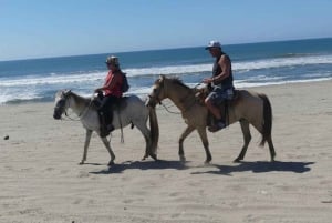 Acapulco:Exp. Granja de Cocodrilos Liberación de Tortugas y Paseo a Caballo