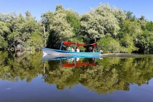 Acapulco:Exp. Granja de Cocodrilos Liberación de Tortugas y Paseo a Caballo