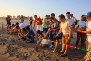 Acapulco: Experiencia de liberación de tortugas