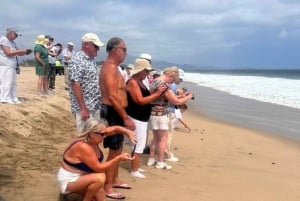 Acapulco: Experiencia de liberación de tortugas